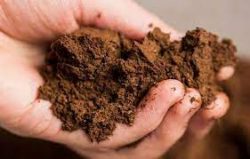 Что такое глинистая почва