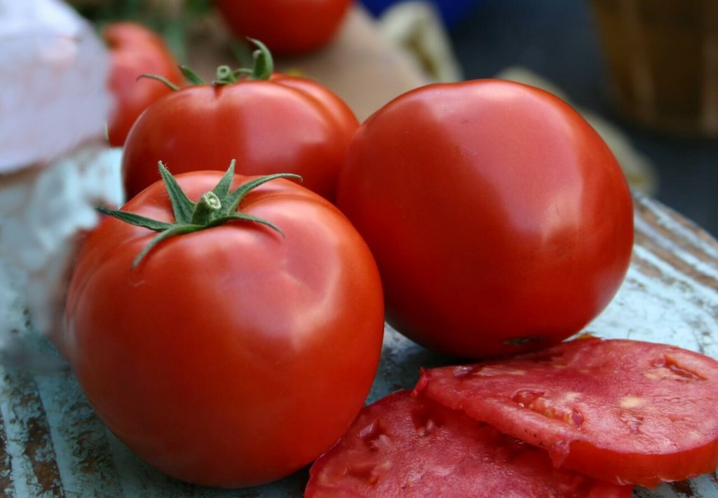 Томат селебрити (Celebrity tomato) - посадка и уход