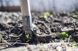 Легкое компостирование: метод «копай и бросай»