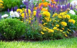 9 вещей, которые нужно знать о создании сада с нуля
