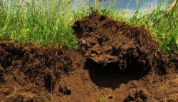 Что такое верхний слой почвы