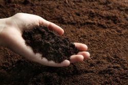 Понимание типов почвы для садоводства
