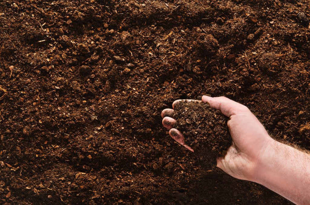 Понимание типов почвы для садоводства