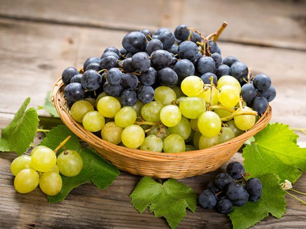 Виноград чи грона задоволення