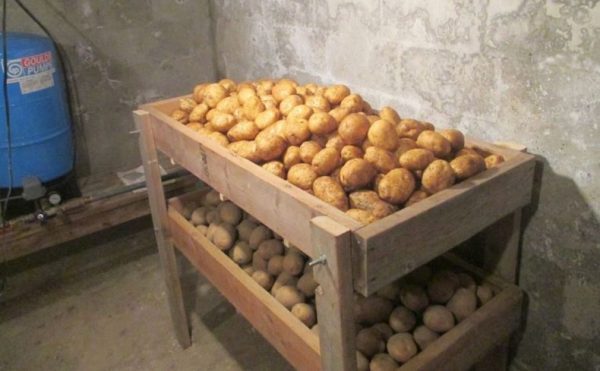 Як правильно зберігати картоплю?