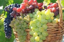 Виноград чи грона задоволення