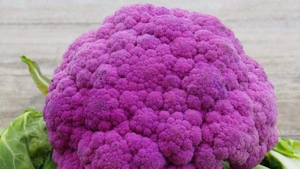 Фіолетова цвітна капуста