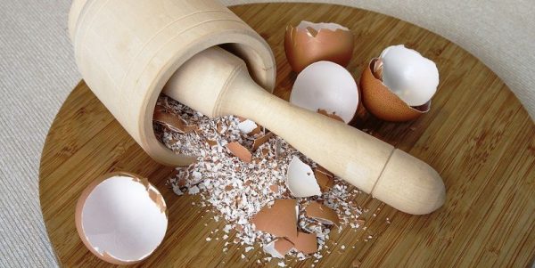 Підготовка яєчної шкаралупи для використання в саду та на городі